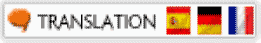 website translator plugin